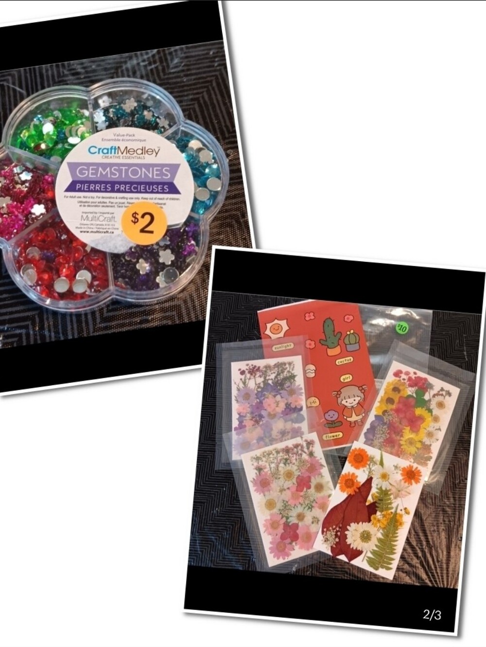 Pressed Flower Craft Kit & Gemstone Embellishments Lot – Like New